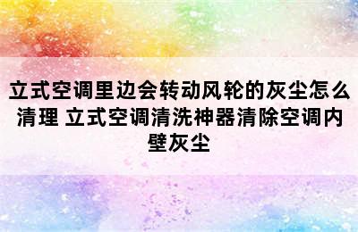 立式空调里边会转动风轮的灰尘怎么清理 立式空调清洗神器清除空调内壁灰尘